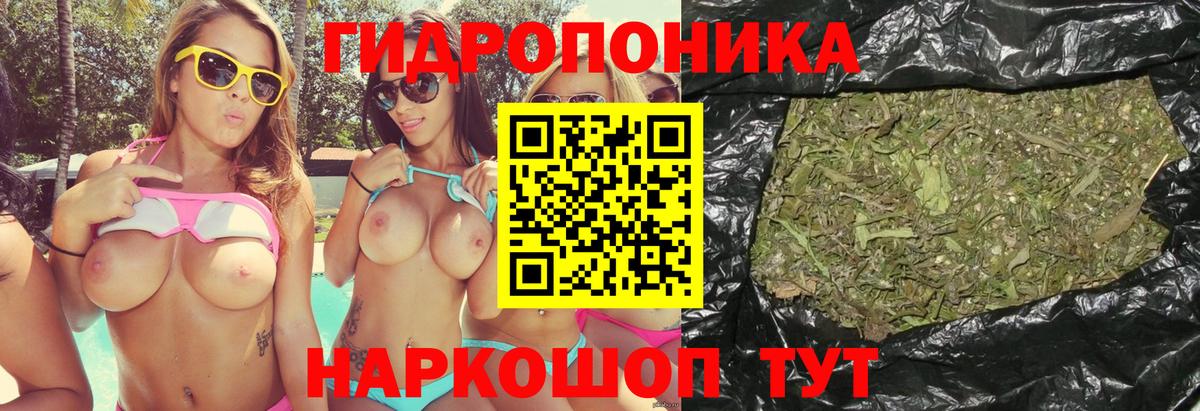 Каннабис гибрид Лысьва
